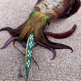 【在庫限り】REVOLT ハイサイ探偵団コラボ エギシャープ ハイサイミンサーグリーン