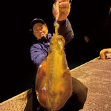 【在庫限り】REVOLT ハイサイ探偵団コラボ エギシャープ 琉球パンチイエロー