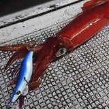 monroegi 2.5 night light tune real bait blue