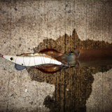 【邪道エギ】早福型 邪道編 3.5号V0(15g) フルグローホワイト