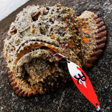 kaeru spoon 14.0g AK red frog red fire/gold