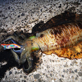 egi oita plapla 4.5 (31g) marble base orange