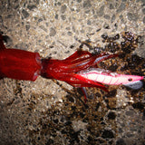 haifukugata jadohen 3.5V3(27g)  pink glow white