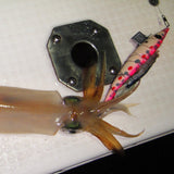 haifukugata size:M dot glow pink iwashi