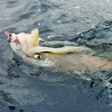 monro egi monster tune 5.0V2(52g) wild akamachi