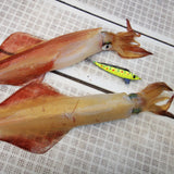 haifukugata size:M all glow yellow iwashi
