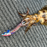 【受注生産】REVOLT/ジェットチェイサー 3.1号(24g) るるサーディン