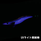 【受注生産】REVOLT/エギシャープ リュウキュウアカバナー