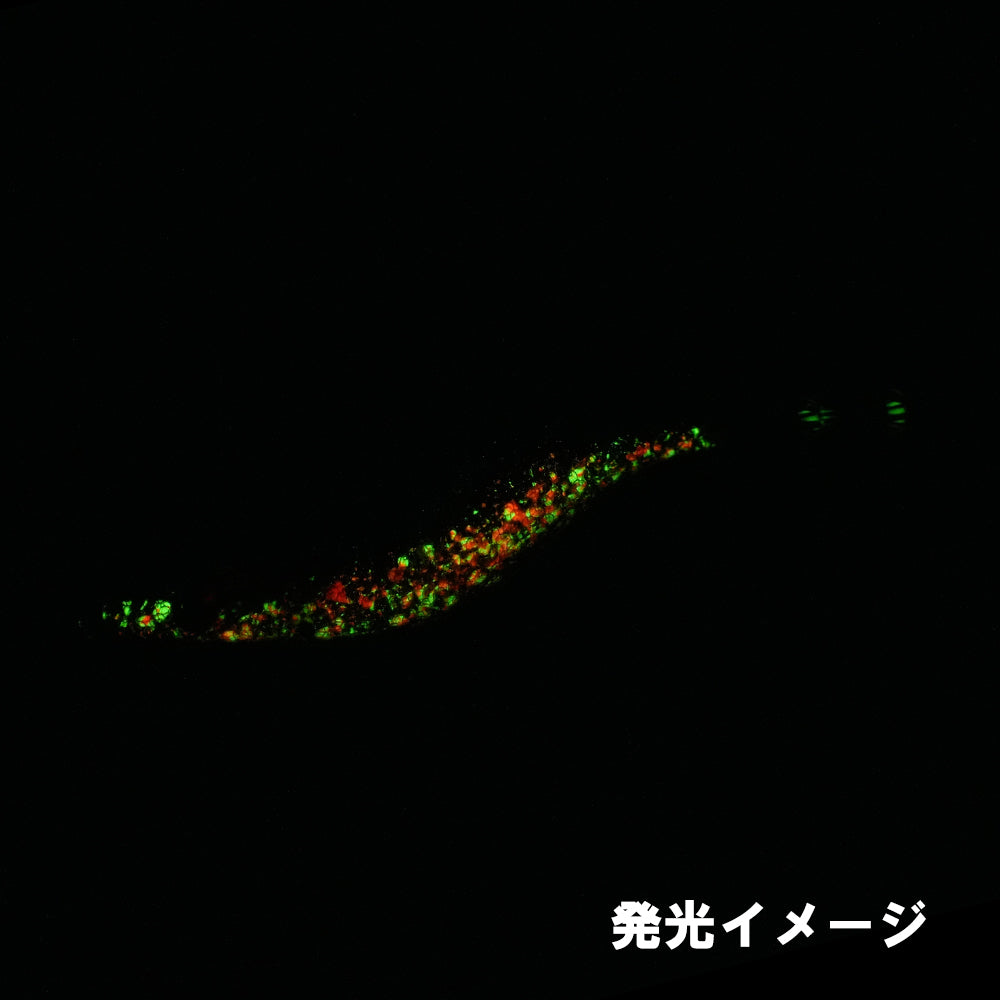 【厳選オモリグセット】モンロー夜焚きGXグローグリーン/イエローヘッドブラック