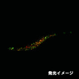 【厳選オモリグセット】モンロー夜焚きGXグローグリーン/イエローヘッドブラック