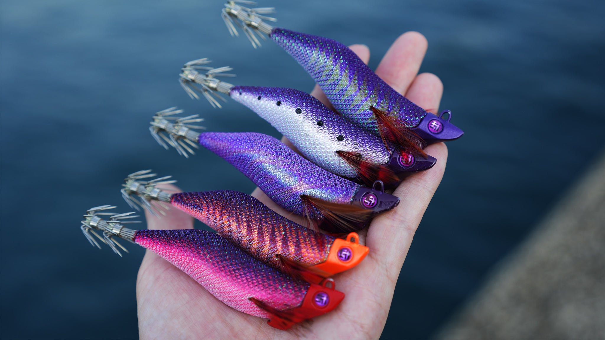 PURPLE EDITION