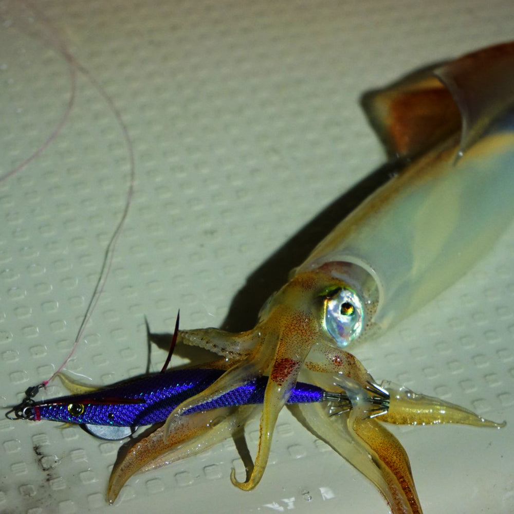 Drip bait ドリップベイト　90mm　パープルベースパープル
