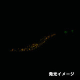 【厳選オモリグセット】モンロー夜焚きオレンジグローレッド/レッドUVGGブラック