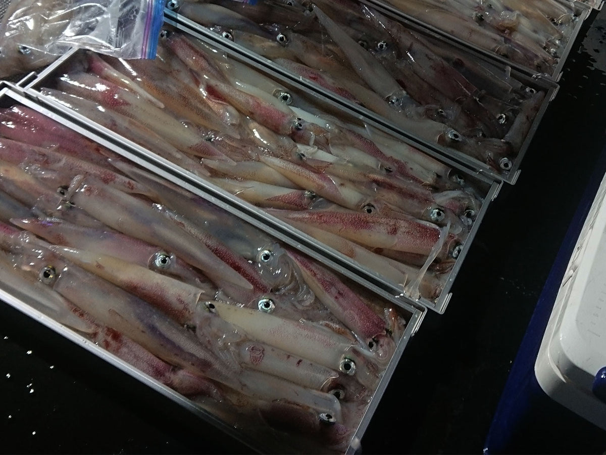 食品衛生法適合検査済み