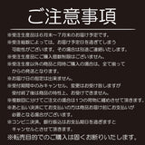 【受注生産】REVOLT/エギシャープ　ソルティブルー