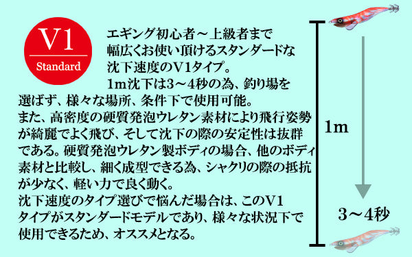 【送料無料】邪道エギング　お試しセット（４）