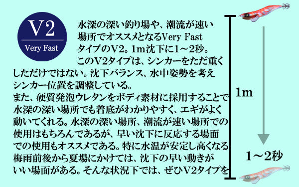 【送料無料】邪道エギング　お試しセット（４）