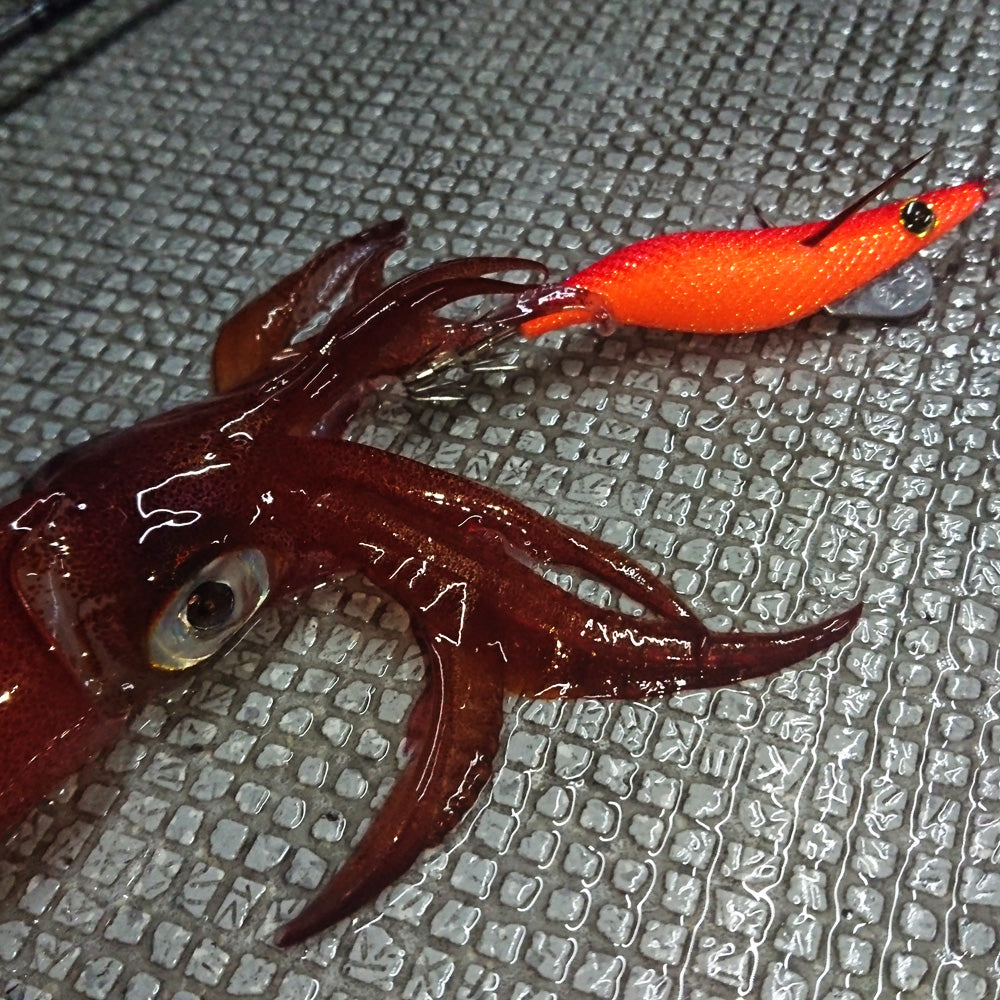 モンローエギ　2.5号　夜焚きチューン　オレンジグローレッド